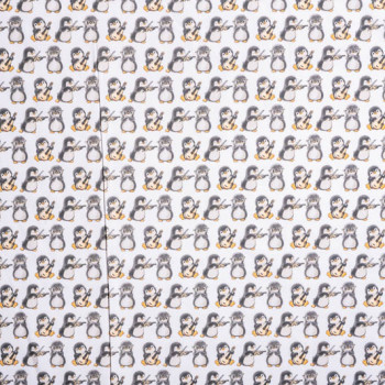 ΠΙΓΚΟΥΙΝΑΚΙΑ