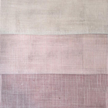 PETUNIA 44008 - MAEVE1