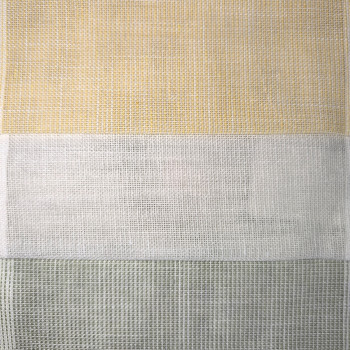 PETUNIA 44008 - MAEVE2