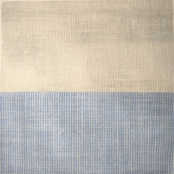 PETUNIA 44008 - MAEVE3