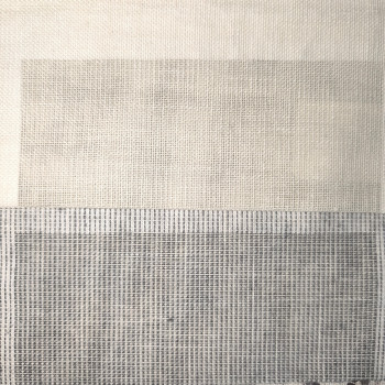 PETUNIA 44008 - MAEVE4